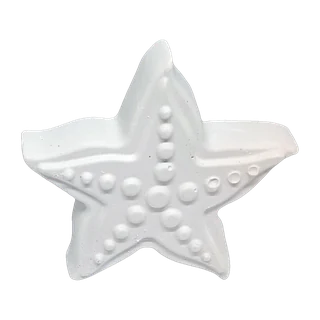 The starfish casting, unpainted white plaster: a five-pointed star with rows of raised bumps along each arm.